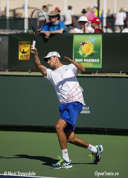 Victor Hanescu - antrenamente inainte de turul al doilea